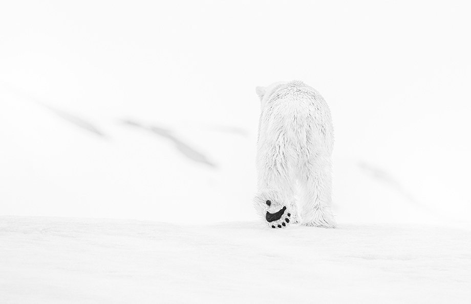 Foto: David Yarrow