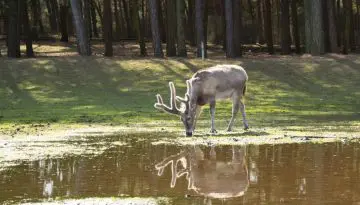 Foto Fons Trommelen