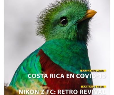 cover-3-2021tbvwebsite