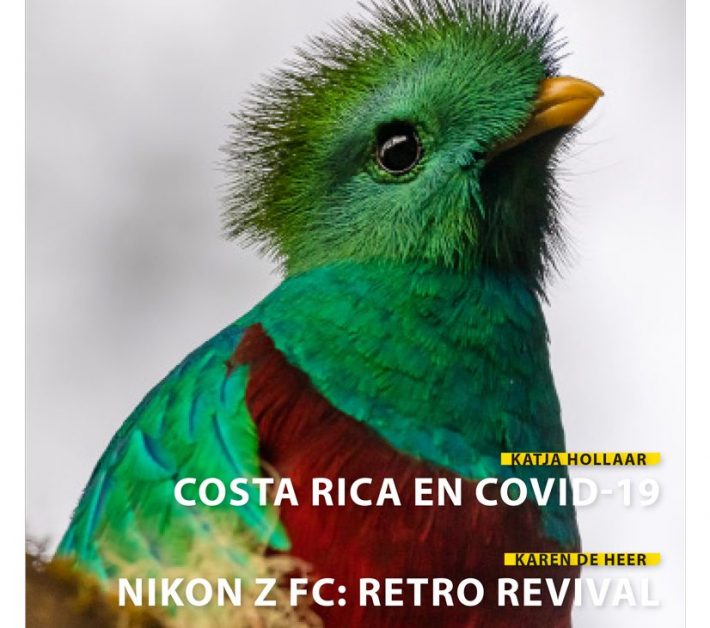 cover-3-2021tbvwebsite