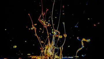 MO 2022 10 Abstract Ton van der Schaal