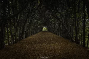 MO oktober 2024 Lovely Lanes Walter Roost_