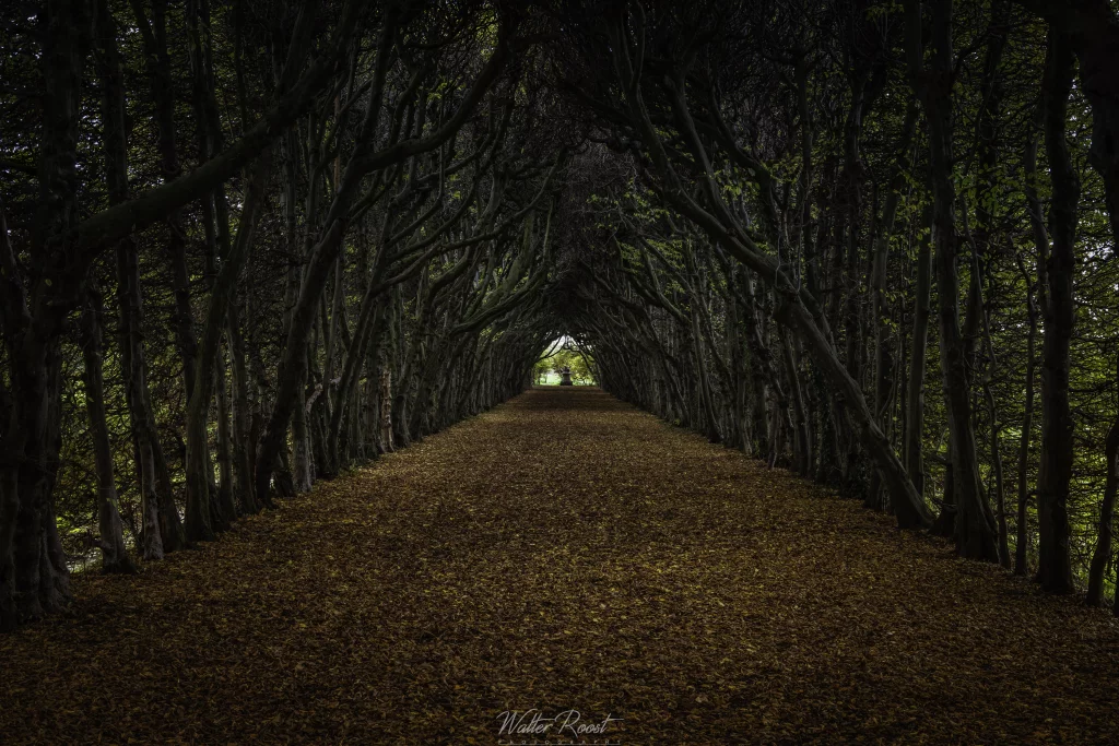 MO oktober 2024 Lovely Lanes Walter Roost_
