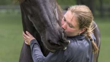 Dier en emotie -0111