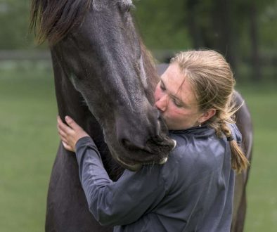 Dier en emotie -0111