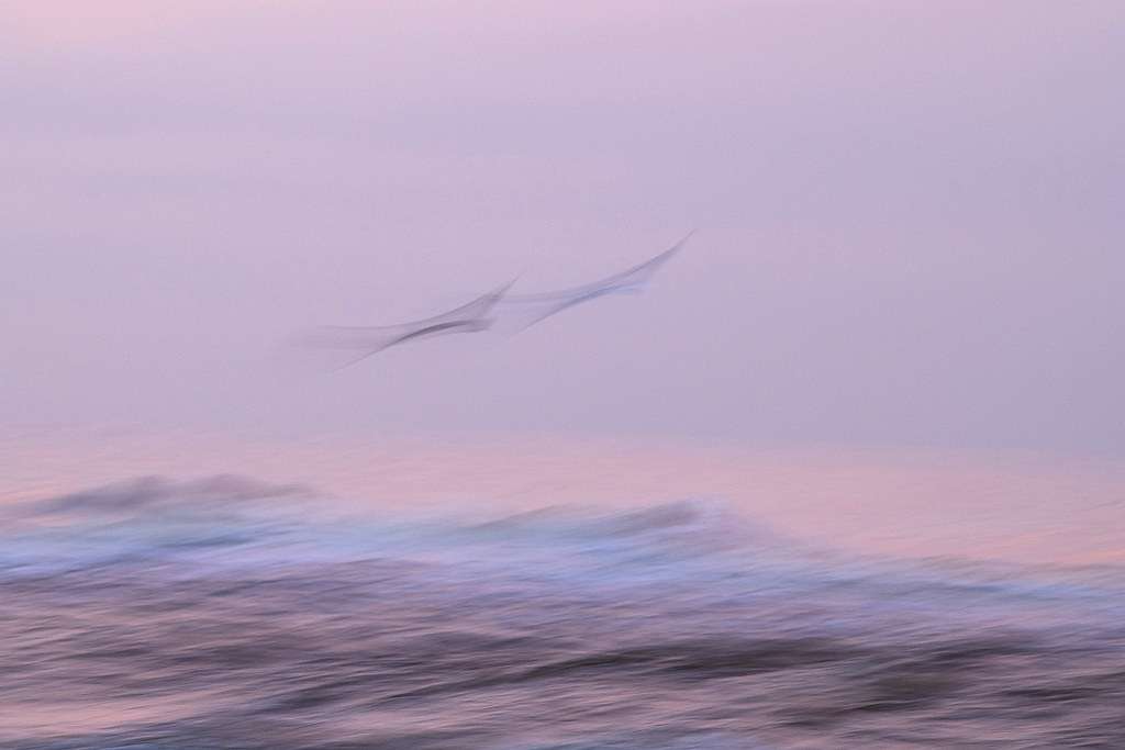 54799595631_84cbbd3c87_b 54799595631_84cbbd3c87_b