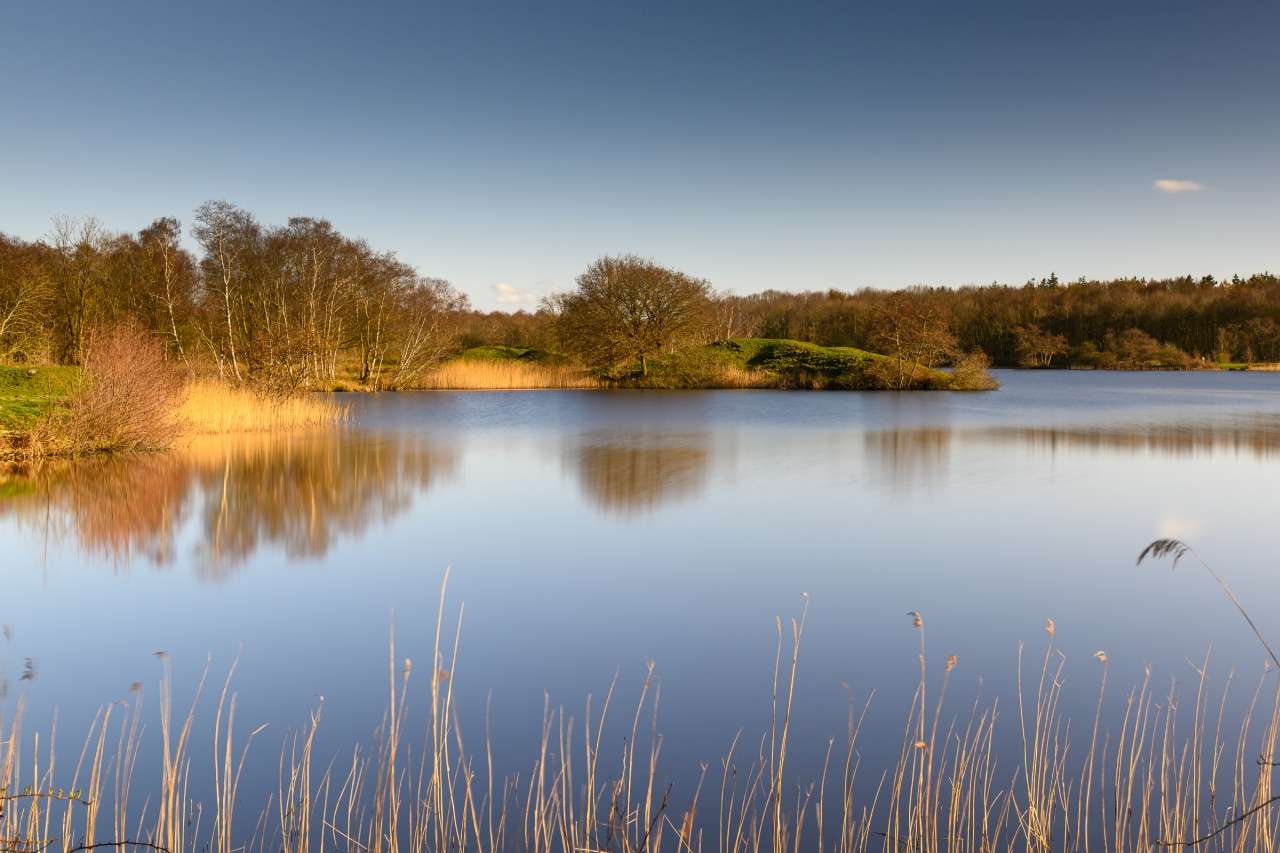 Natuur en Landschap fotografie