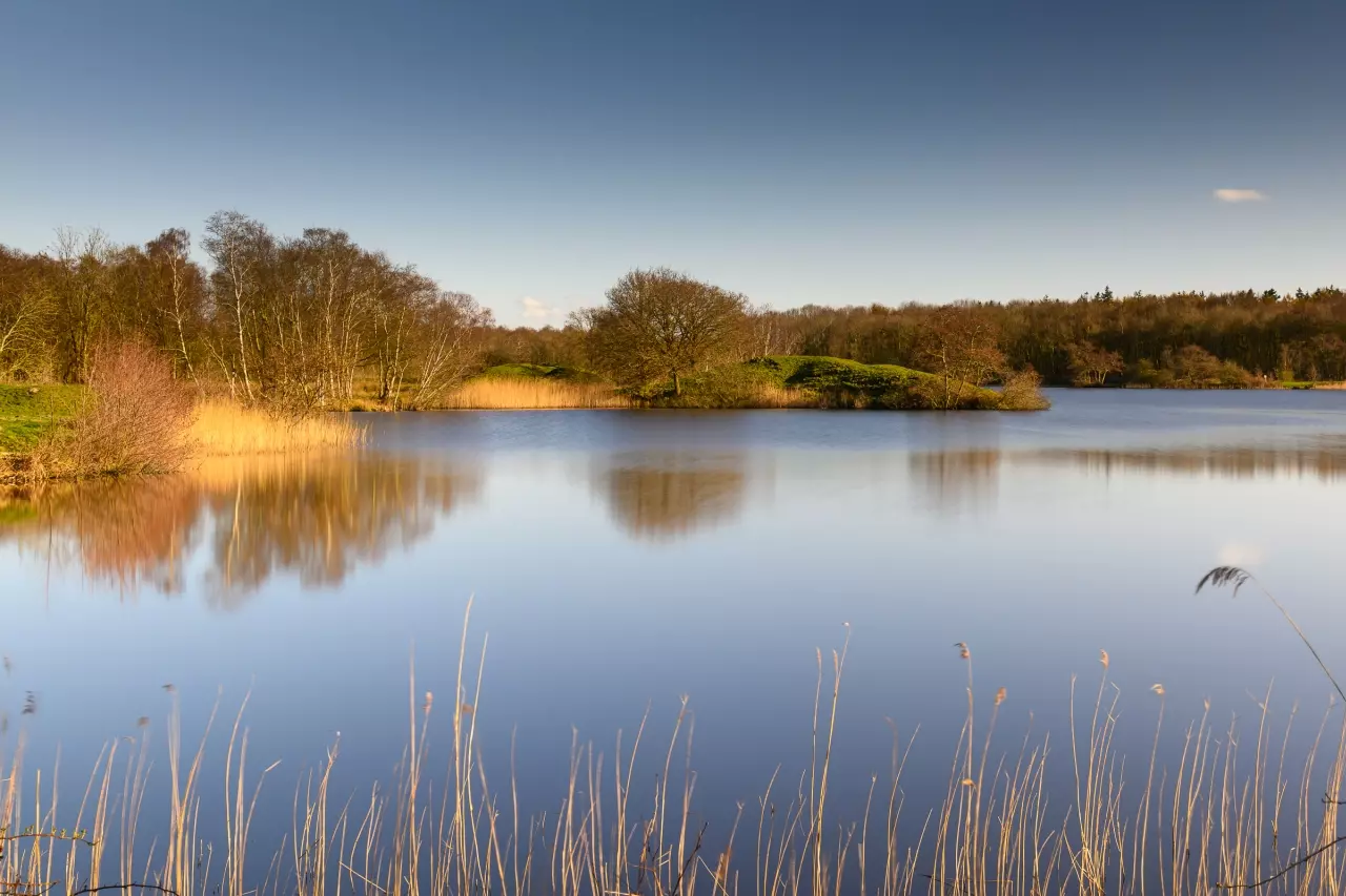 Natuur en Landschap fotografie