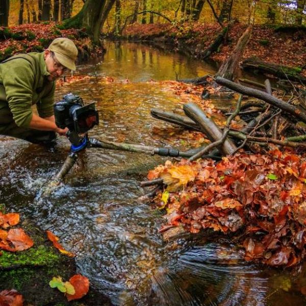 2026-11-19: regio Noordwest / Webinar “Fotografisch perspectief: van camera naar visie”